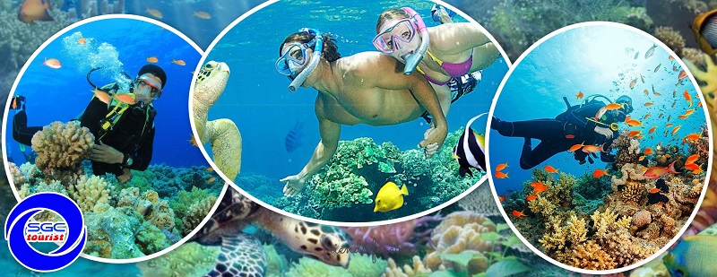 Tour phú quốc - lặn ngắm san hô - giá hấp dẫn